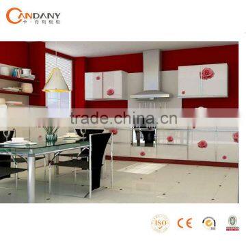 Good Quality Kitchen cabinet with acrylic door panel( CDY-SA034)