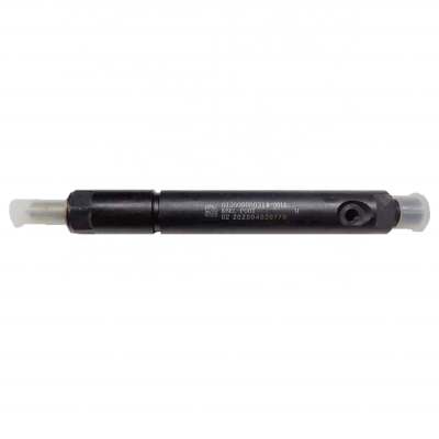 Brand New Great Price Fuel Injector Nozzles For SHACMAN