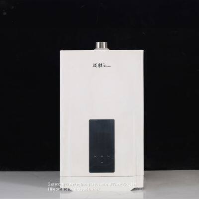 Tankless Hot Water Heater Instant Gas Water Heater Geyser Boiler For Bath Shower photo-2