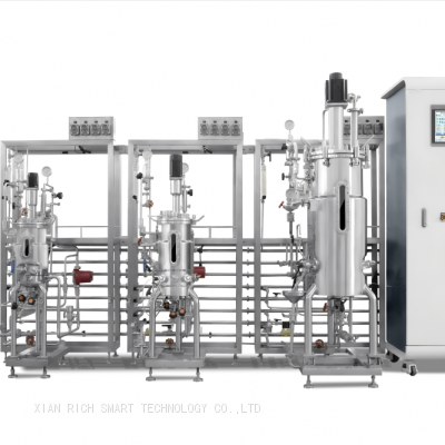 Multi-parallel magnetic sealed stainless steel fermentation