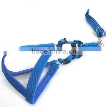 pet collar