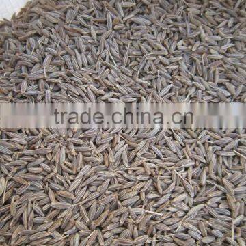 Cumin Seeds Singapore Quality 99 %