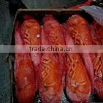 frozen cooked/raw canadian lobster (homarus americanus)