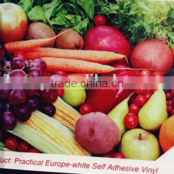 Practical Europe-white Self Adhesive Vinyl