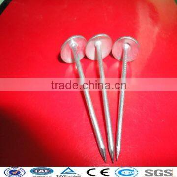 high quality Twisted Umbrella Roofing nails (factory)