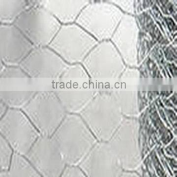 Hexagonal iron Wire Netting