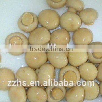 Canned Mushroom Canned Food photo-3