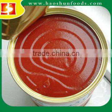 Canned Tomato Puree Canned Tomato Paste photo-3
