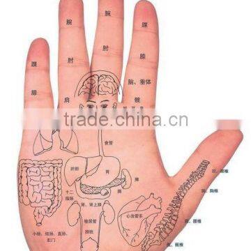 Conductive Silicon Hands Therapy Electrode photo-3