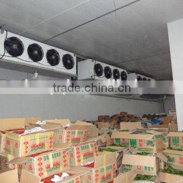 large usage and high efficiency Cold Storage