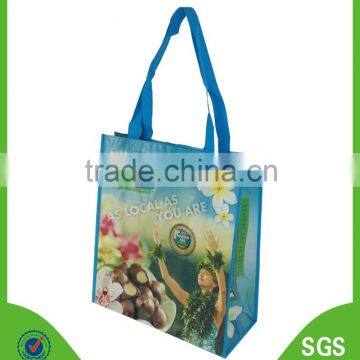 Non woven laminated bag