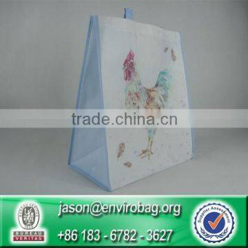 Custom Reusable Non Woven Shopping Bag Fashion Hand Bag