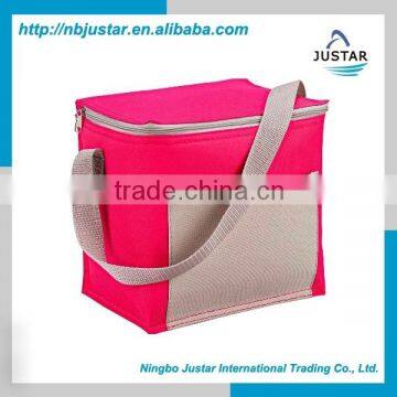 Fancy Color 600D Polyester Material Whole Food Use Insulated Fitness Lunch Bag with Adjustable Shoulder Strap