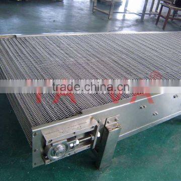 Stainless Steel Belt Conveyor System for Packing Industry photo-2
