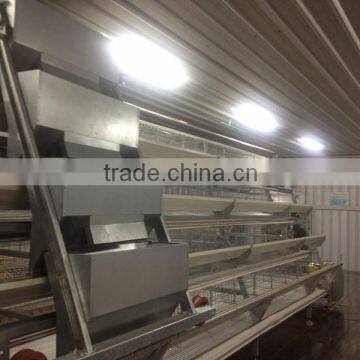 Hot-sale Chicken Cage Equipments for Egg Chicken photo-4