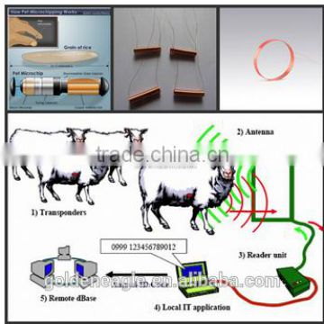 RFID Animal Identification Coil /electromagnetic coil/Antenna RFID coil