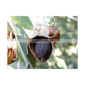 100% PURE & NATURAL JOJOBA CARRIER OIL FOR ACNE