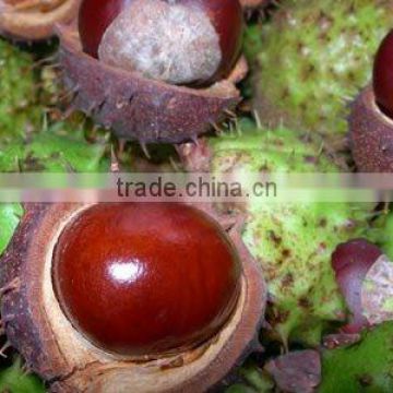 Horse Chestnut Extract Aescin