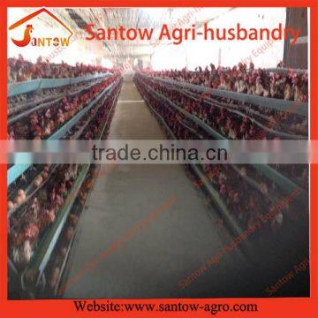 Automatic Farm Building Chicken Egg Layer Cages Poultry Cage House photo-5