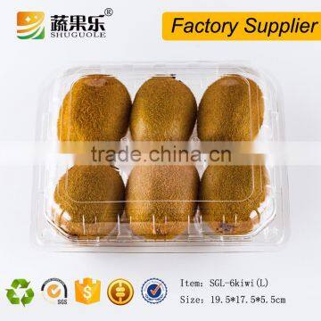 Fresh kiwi thermoforming plastic packaging container