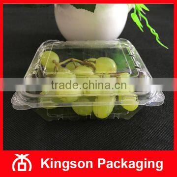 Disposable Plastic Container Box for Fruit