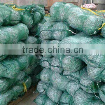 Local Fresh Green wholesale price of cabbage