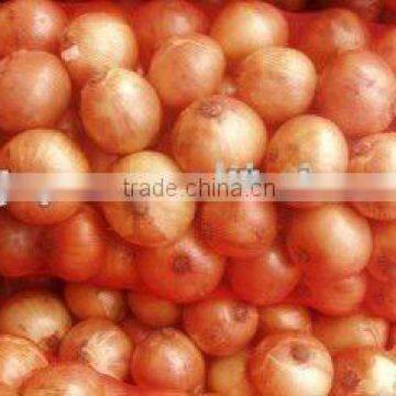 Juyuan Yellow Onion