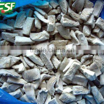 2016 new corp IQF pleurotus mushroom slices