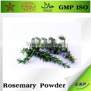 gmp iso bnp suppliers rosemary oleoresin extract