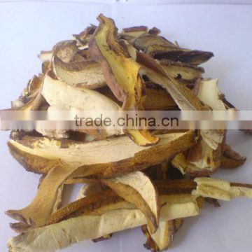 Cheap Price of fresh Boletus, High Quality Guarantee