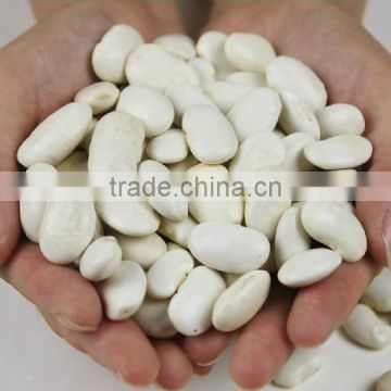 Chinese white kidney beans large grain