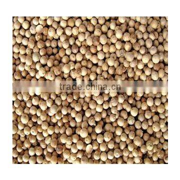 VIETNAM WHITE PEPPER 630G/L (+841657106604 - WHATSAPP)