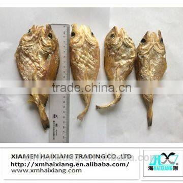 Whole round Dried Salted Cod fish for sale