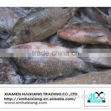 Frozen tilapia wholesale price