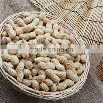 Dried Peanuts Inshell