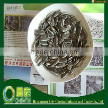 Export Supply High Quality Sunflower Seeds Chinese