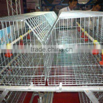 galvanized poultry layer cages