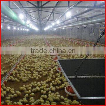 Automatic Chicken Feeders Poultry Chicken Feeding System