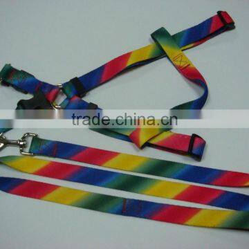 Rainbow color pet dog leashes & dog harness