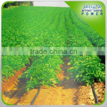 2015 Christmas Promotion! Plastic Drip Irrigation Tube for Germany photo-3