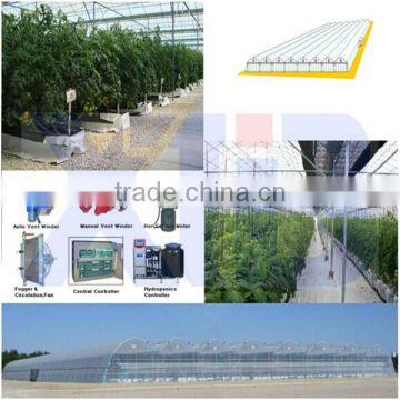 Multi Span Film Greenhouse For Agriculture