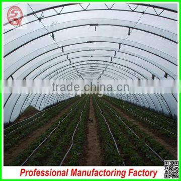 Commercial Plastic Vegetable Greenhouse for Sale With Seedbed photo-4