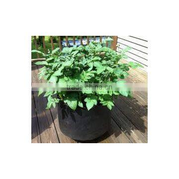 pot garden nonwoven felt smart pots with handle (1 gal to 1200 gal)