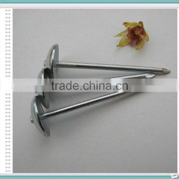 2.5 Inch Umbrella Head Galvanized Twisted Shank Roofing Nails