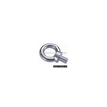 Stainless Steel DIN580 Eye Bolt AISI316
