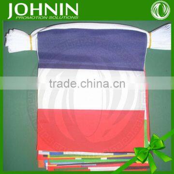 Hot promotional JOHNIN polyester custom design string national bunting