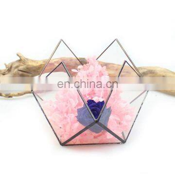 Terrarium With Ring Geometric Glass Terrarium Wholesale photo-3