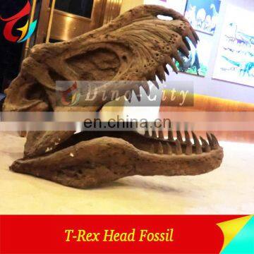Museum Standard dinosaur skull replicas