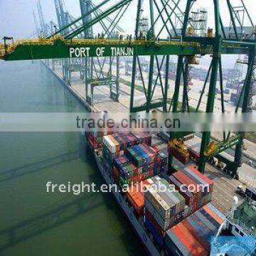 LCL freight/shipping FOB shenzhen to Dubai,DXB,United Arab Emirates