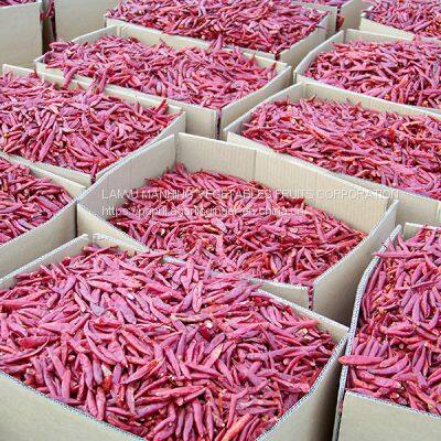 Dried Hot Chaotian Chili Sanying Chili Stemless Tianjin Chili 8000 to 10000 SHUfree of Aflatoxin Chilli